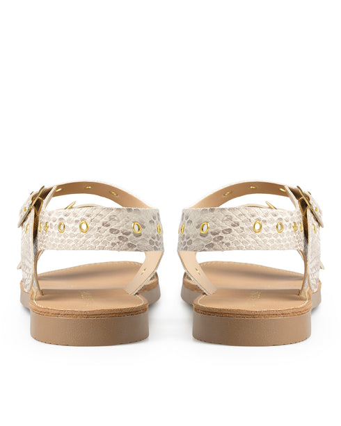 Sandalia Víbora Anillos Doble Hebilla 451002