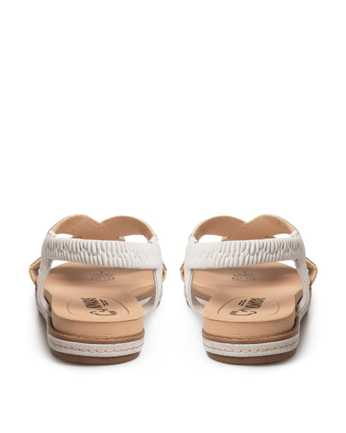 Sandalia Plana Plata Brillos MD20475